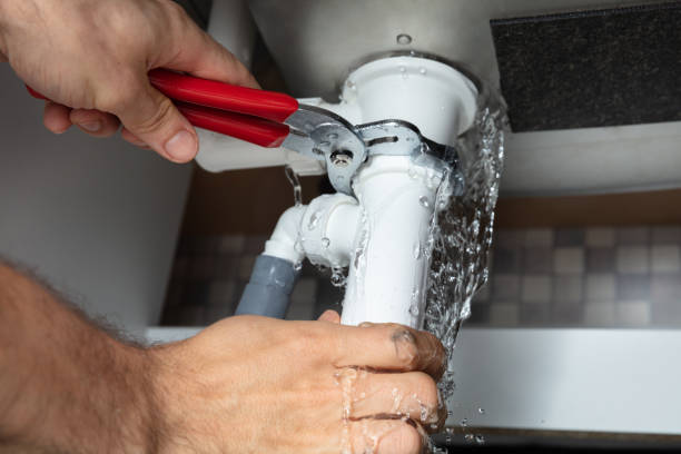 Best Water damage cleanup near me  in Rockfish, NC