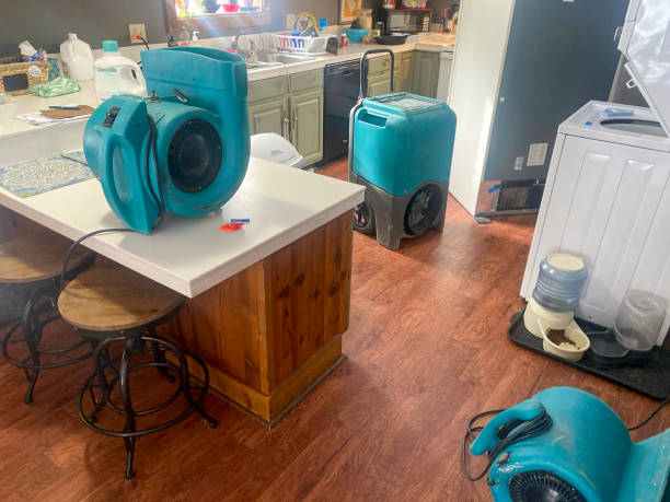 Best Local water damage restoration  in Rockfish, NC